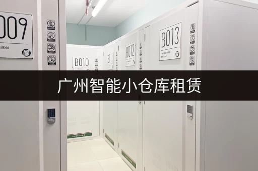 广州智能小仓库租赁，价格查询及周边配套设施信息！