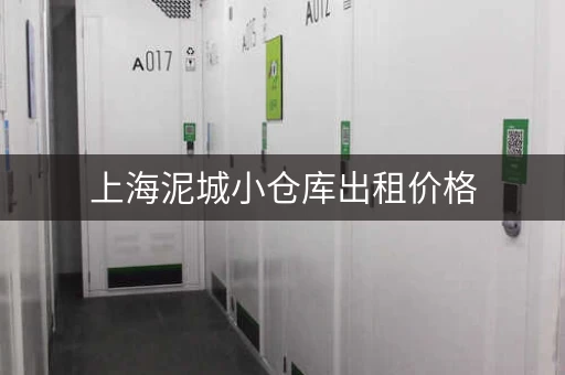 上海泥城小仓库出租价格，上海小仓库出租200平米
