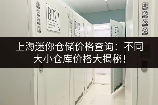 上海迷你仓储价格查询：不同大小仓库价格大揭秘！