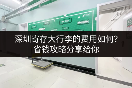 深圳寄存大行李的费用如何？省钱攻略分享给你