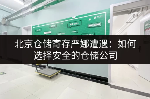 北京仓储寄存严娜遭遇：如何选择安全的仓储公司