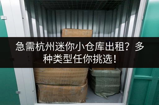 急需杭州迷你小仓库出租？多种类型任你挑选！