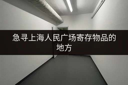 急寻上海人民广场寄存物品的地方，推荐一下！