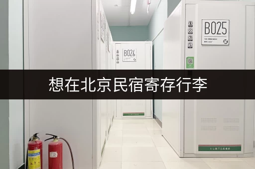 想在北京民宿寄存行李，费用大概多少？有哪些选择？