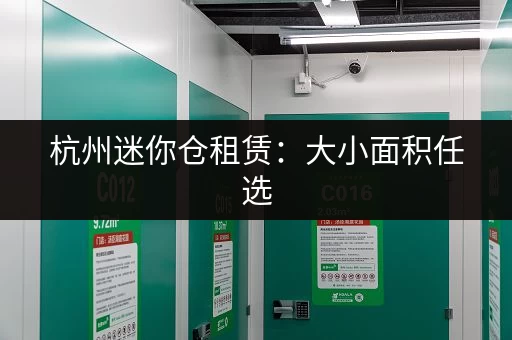 杭州迷你仓租赁：大小面积任选，安全可靠又便捷