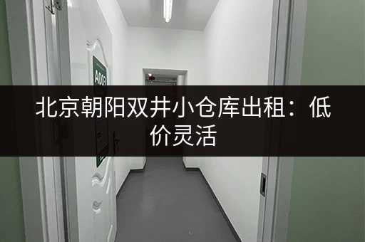 北京朝阳双井小仓库出租：低价灵活，方便快捷！
