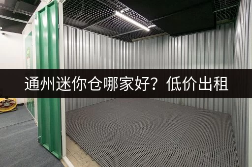 通州迷你仓哪家好？低价出租，安全可靠，多种规格可选！