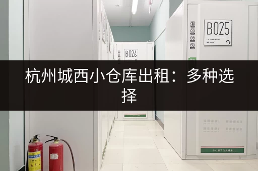 杭州城西小仓库出租：多种选择，总有一款适合你