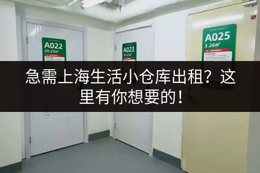 急需上海生活小仓库出租？这里有你想要的！
