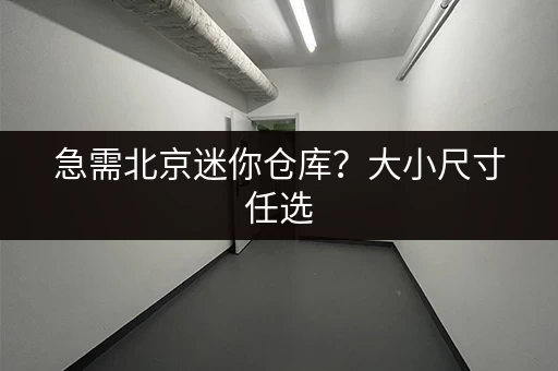 急需北京迷你仓库？大小尺寸任选，安全可靠有保障