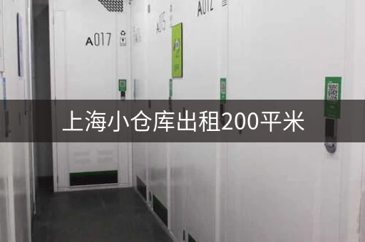 上海小仓库出租200平米，上海徐汇区出租小仓库价格