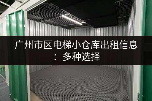 广州市区电梯小仓库出租信息：多种选择，总有一款适合你！