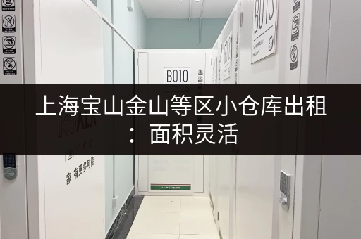 上海宝山金山等区小仓库出租:面积灵活,满足需求 上海宝山金山等区小仓库出租:面积灵活,满足需求