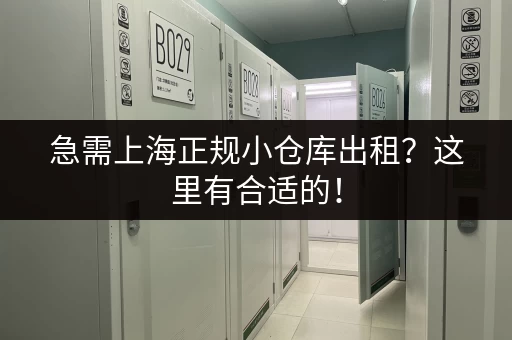 急需上海正规小仓库出租？这里有合适的！