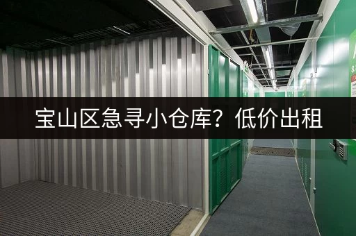 宝山区急寻小仓库？低价出租，多种面积任您选！