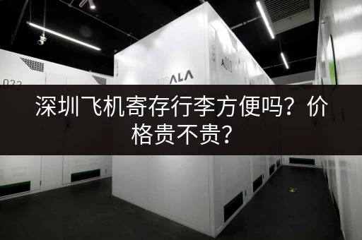 深圳飞机寄存行李方便吗？价格贵不贵？