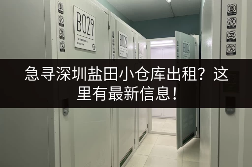 急寻深圳盐田小仓库出租？这里有最新信息！