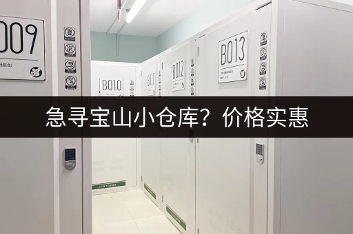 急寻宝山小仓库？价格实惠，1元平米天起租，立即联系！