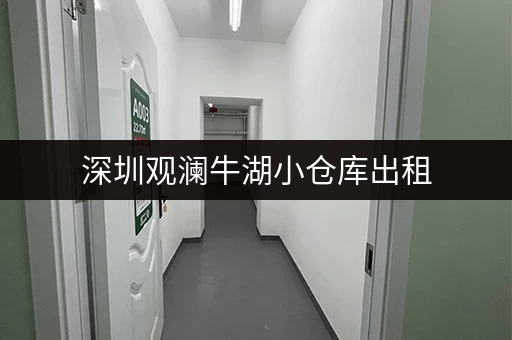 深圳观澜牛湖小仓库出租，满足您的仓储需求