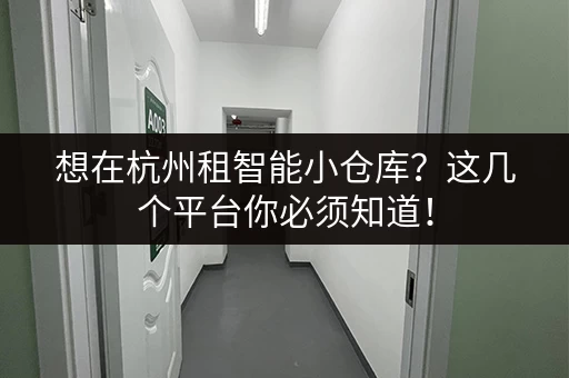 想在杭州租智能小仓库？这几个平台你必须知道！