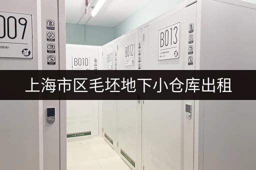 上海市区毛坯地下小仓库出租，满足您的仓储需求