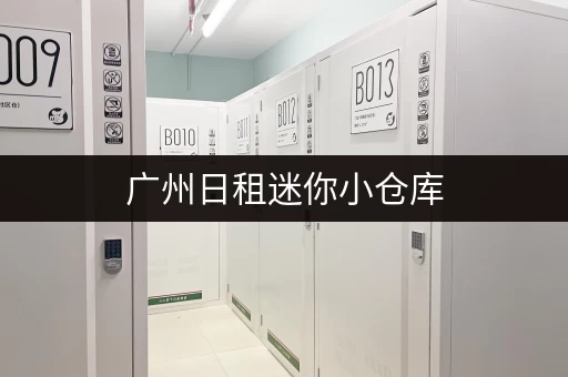 广州日租迷你小仓库，低价出租，适合个人和企业！