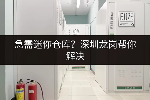 急需迷你仓库？深圳龙岗帮你解决