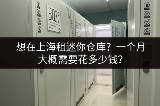 想在上海租迷你仓库？一个月大概需要花多少钱？