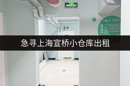急寻上海宣桥小仓库出租，周边房屋合租信息