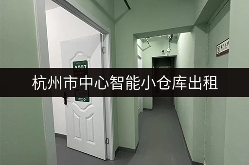 杭州市中心智能小仓库出租，电话预约看仓