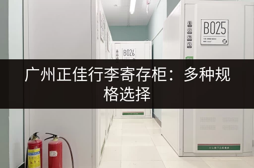 广州正佳行李寄存柜：多种规格选择，解决您的行李存放烦恼