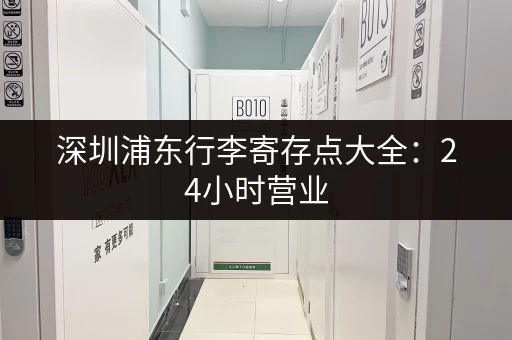 深圳浦东行李寄存点大全：24小时营业，多种选择！