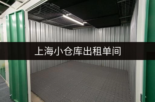 上海小仓库出租单间，迷你仓、独立间多种选择