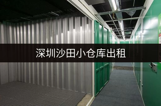深圳沙田小仓库出租，多种面积任您选择