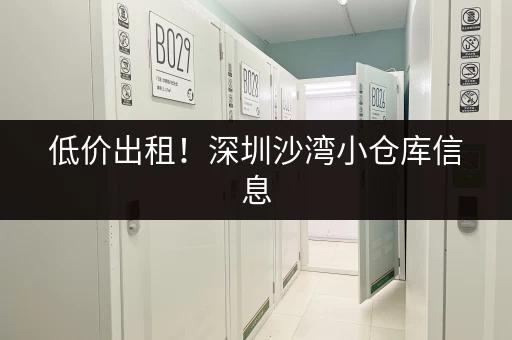 低价出租！深圳沙湾小仓库信息，多种类型仓库任选