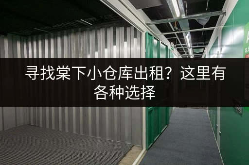 寻找棠下小仓库出租？这里有各种选择，总有一款适合您