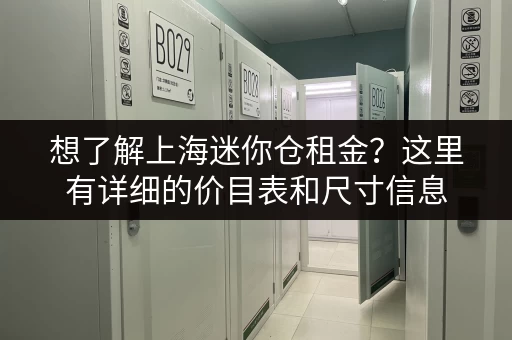 想了解上海迷你仓租金？这里有详细的价目表和尺寸信息