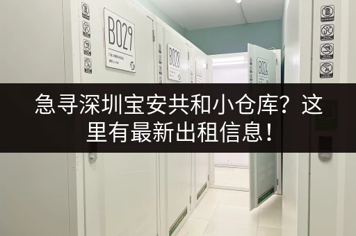 急寻深圳宝安共和小仓库？这里有最新出租信息！