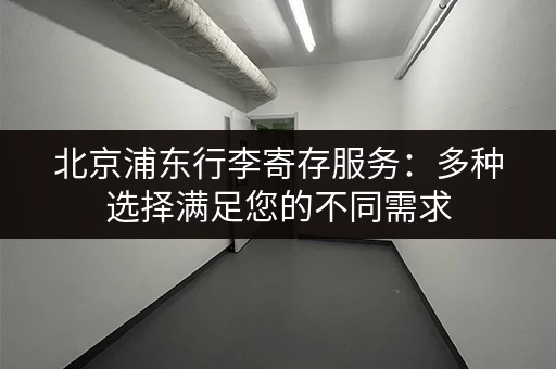 北京浦东行李寄存服务：多种选择满足您的不同需求
