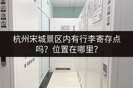 杭州宋城景区内有行李寄存点吗？位置在哪里？
