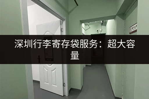 深圳行李寄存袋服务：超大容量，24小时全天候服务