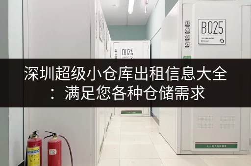 深圳超级小仓库出租信息大全：满足您各种仓储需求