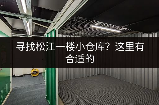 寻找松江一楼小仓库？这里有合适的，价格实惠！