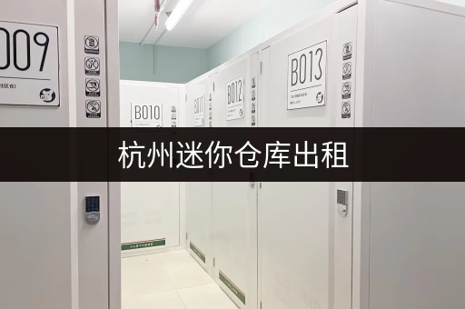 杭州迷你仓库出租，小空间大用途，解决你的收纳难题
