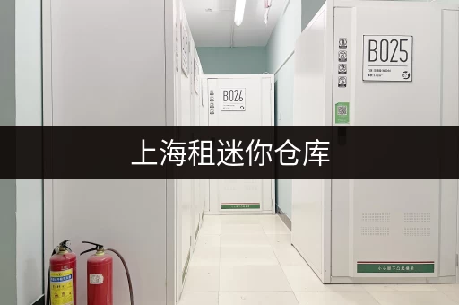 上海租迷你仓库，不同大小价格差异有多大？