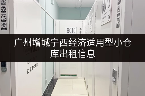 广州增城宁西经济适用型小仓库出租信息