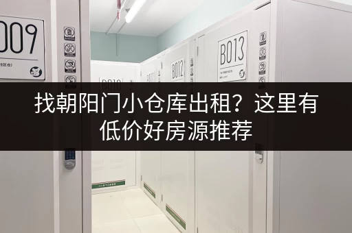 找朝阳门小仓库出租？这里有低价好房源推荐