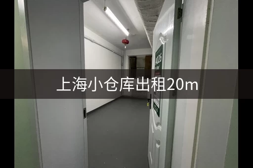 上海小仓库出租20m，上海小仓库出租200平米
