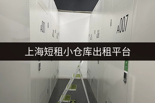 上海短租小仓库出租平台，一站式解决您的仓储需求