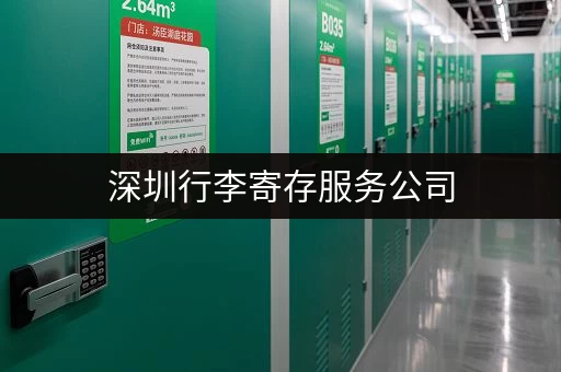深圳行李寄存服务公司，多种选择满足你的不同需求